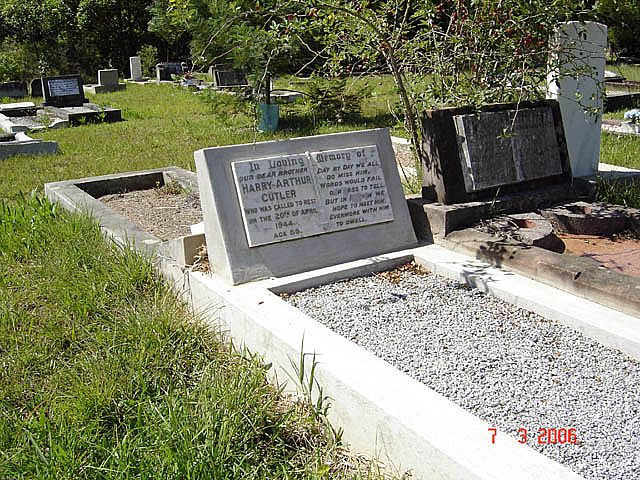 cutler.h.a.2006.jpg
