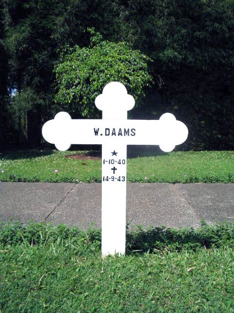 daams.w.2005.jpg
