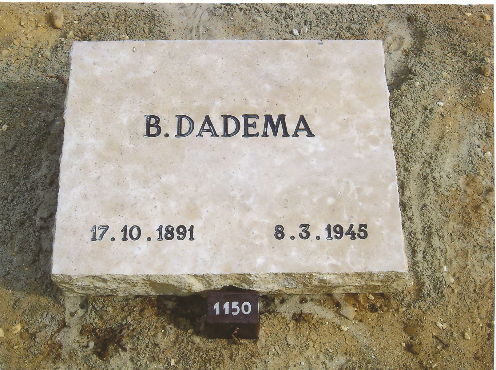 Dadema.jpg
