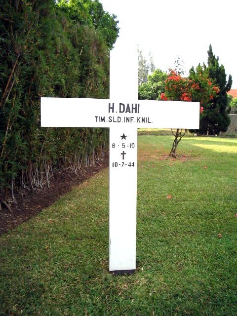 dahi.h.2004.jpg.JPG