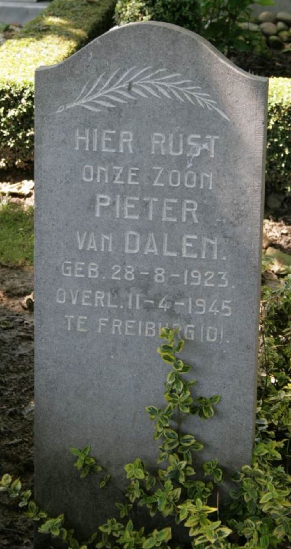 dalen.p.van.2010.jpg