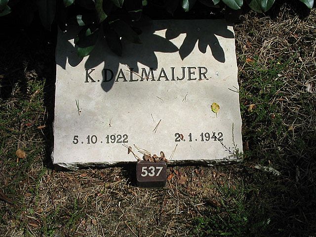 K.Dalmaijer.jpg