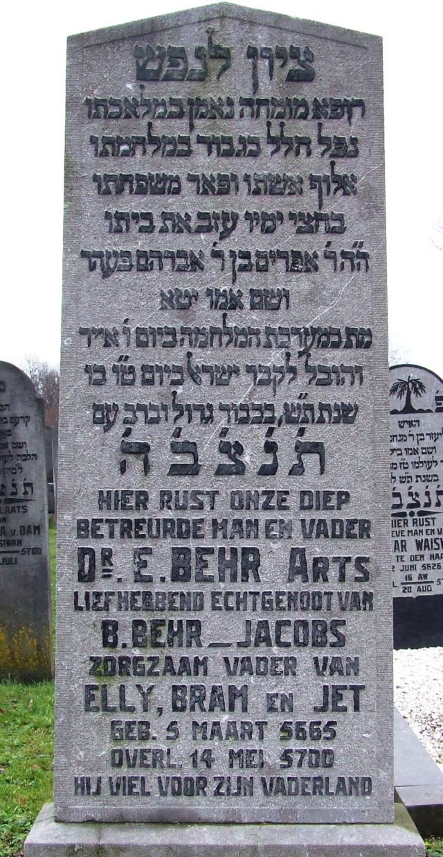 behr.e.2009.jpg