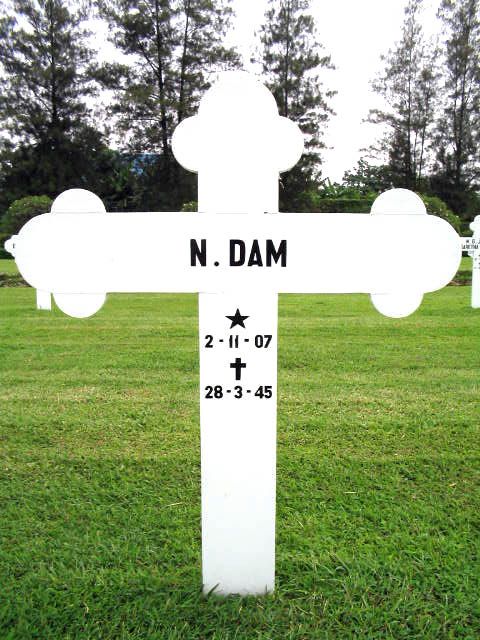 dam.n.2004.jpg