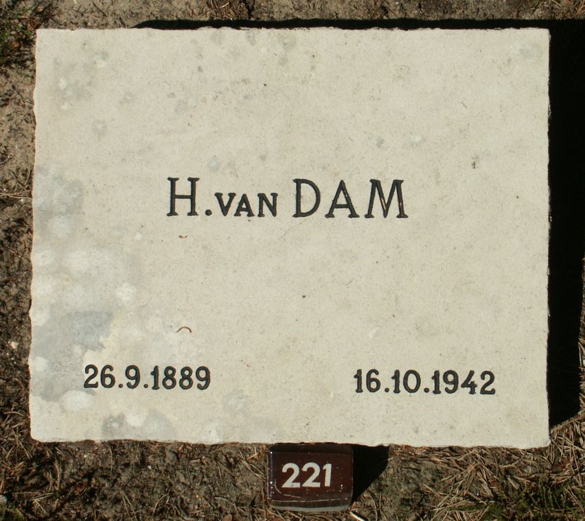 dam.van.h.jpg