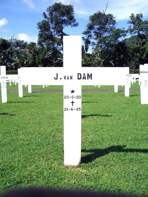 dam.van.j.2005.jpg