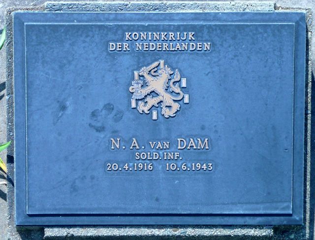 Dam.N.A.van.2008.jpg