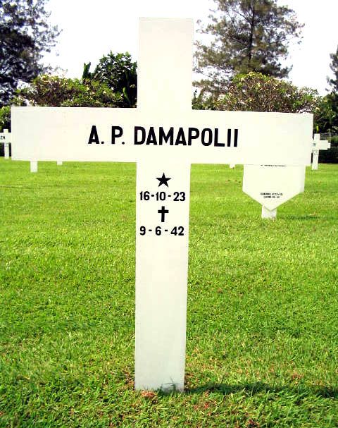 damapolii a.p.2004.jpg