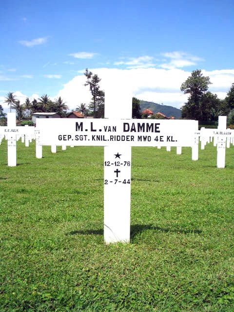 damme.van.m.l.2005.jpg