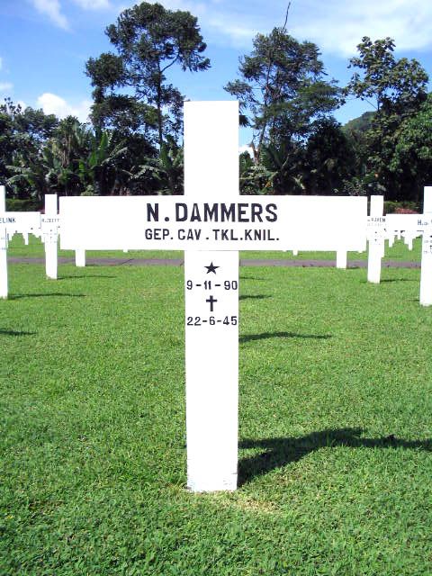 dammers.n.2005.jpg