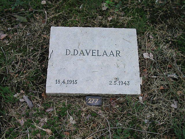 D.Davelaar.jpg