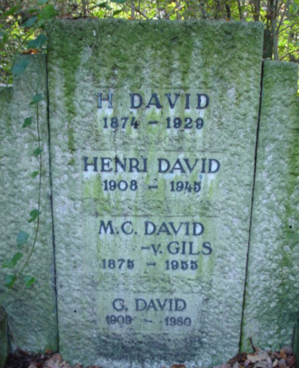 david.h.2009.jpg