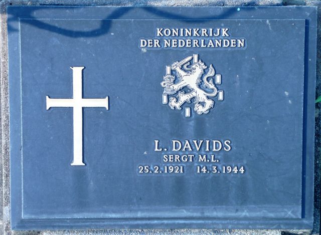 Davids.L.2008.jpg