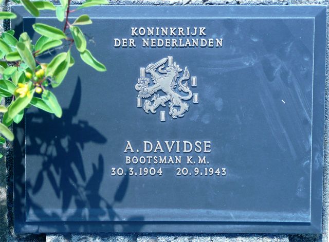 Davidse.A.2008.jpg