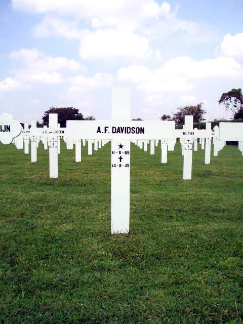 davidson.a.f.2005.jpg