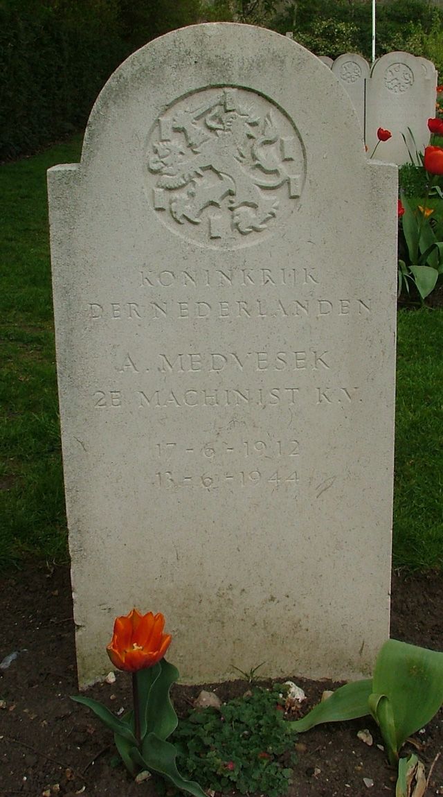 medvesek.a.2008.jpg