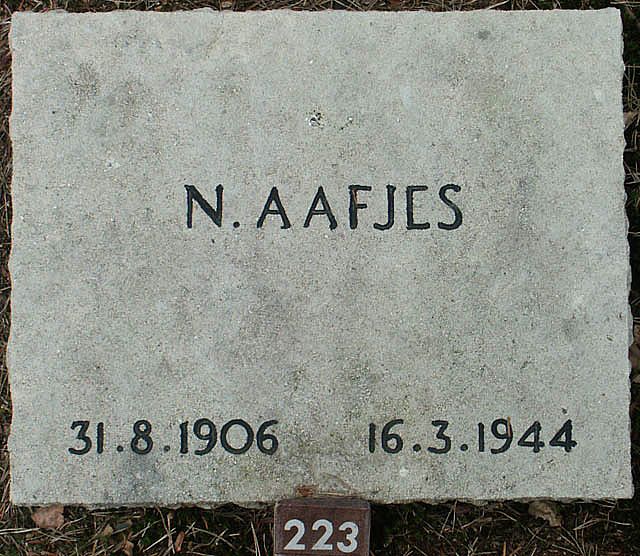 aafjes.n.2006.jpg
