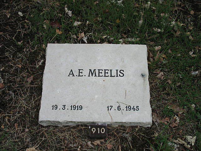 A.E.Meelis.jpg