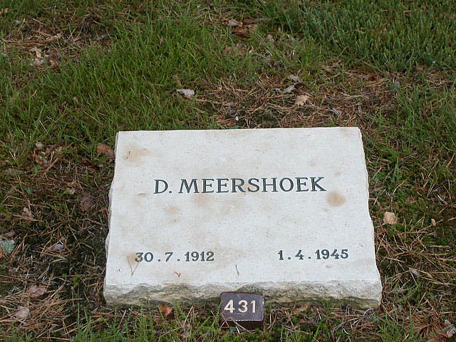 D.Meershoek.jpg