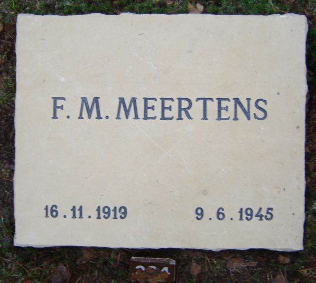 meertens.f.m.2008.jpg
