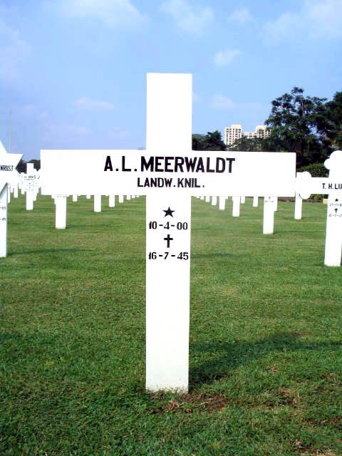 meerwaldt.a.l.2005.jpg