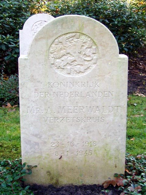Meerwaldt A.jpg