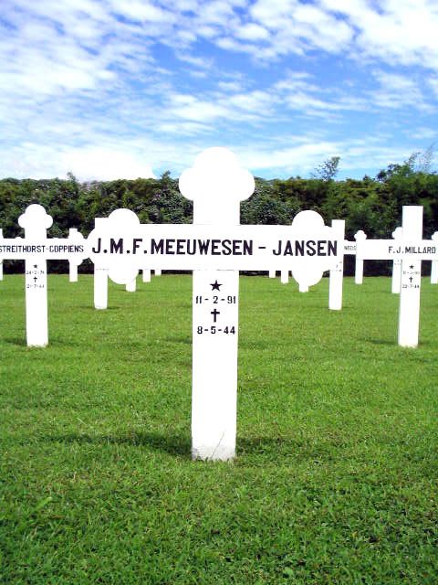 meeuwesen.jansen.j.m.f.2005.jpg