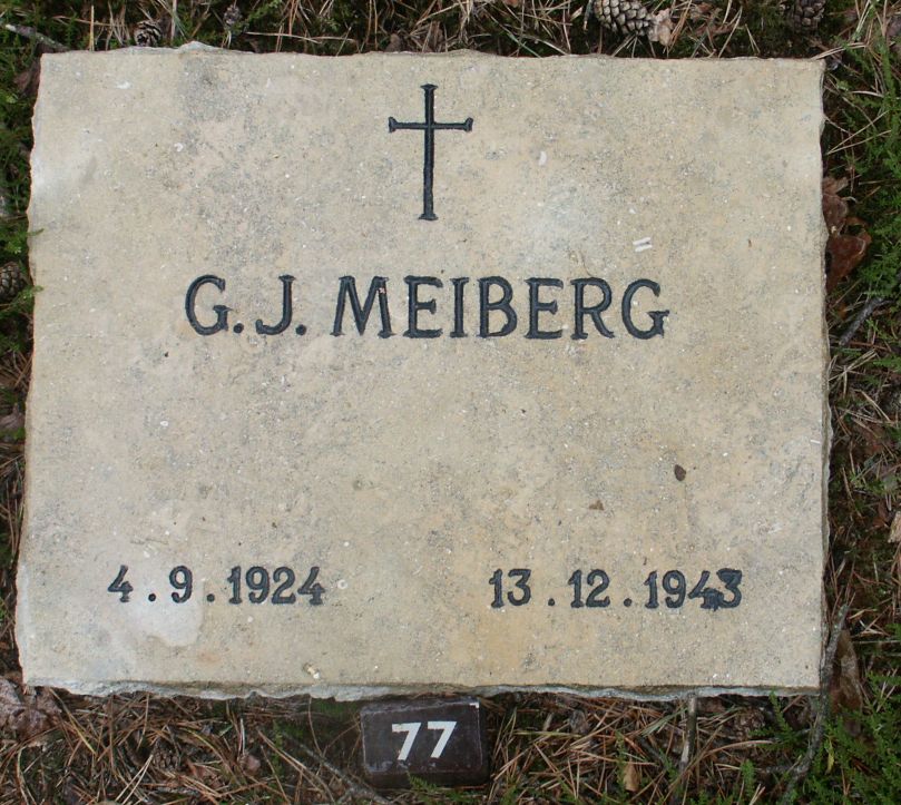 meiberg.g.j.jpg