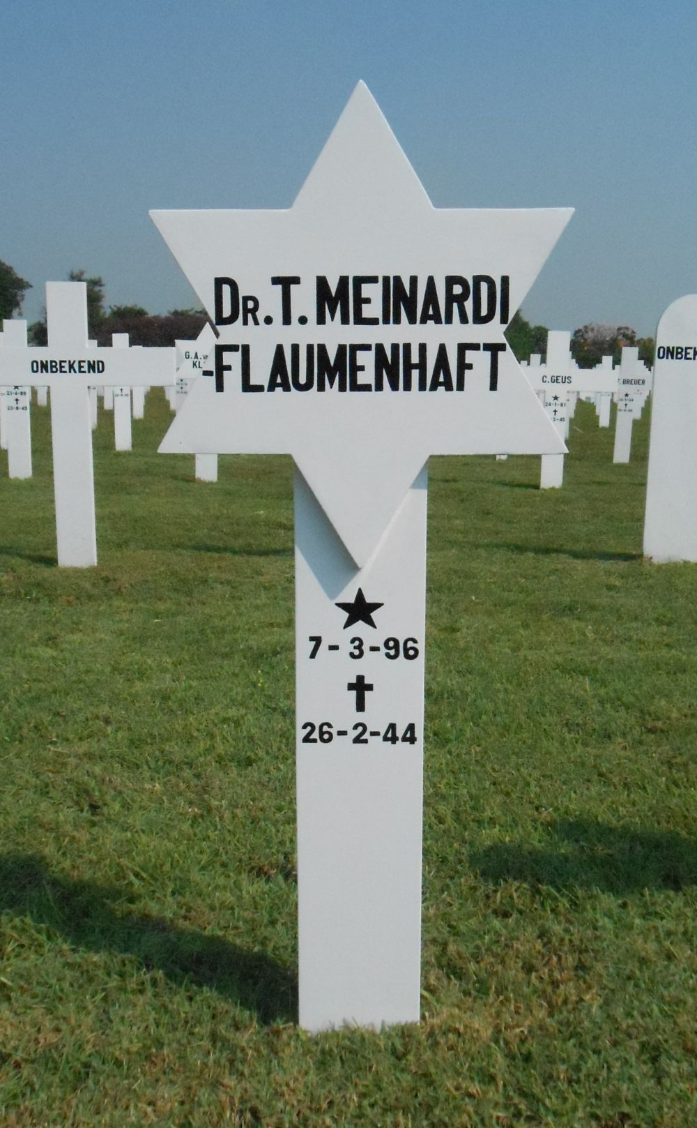 Meinardi-Flaumenhaft.t..jpg
