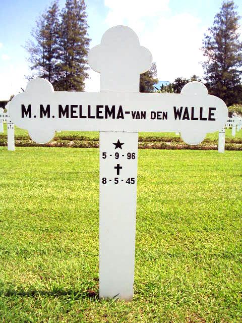 mellema van den walle m.m.2004.jpg