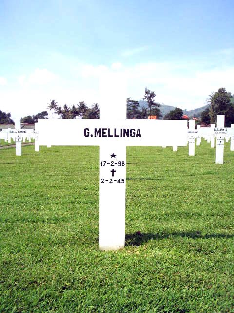 mellinga.g.2005.jpg
