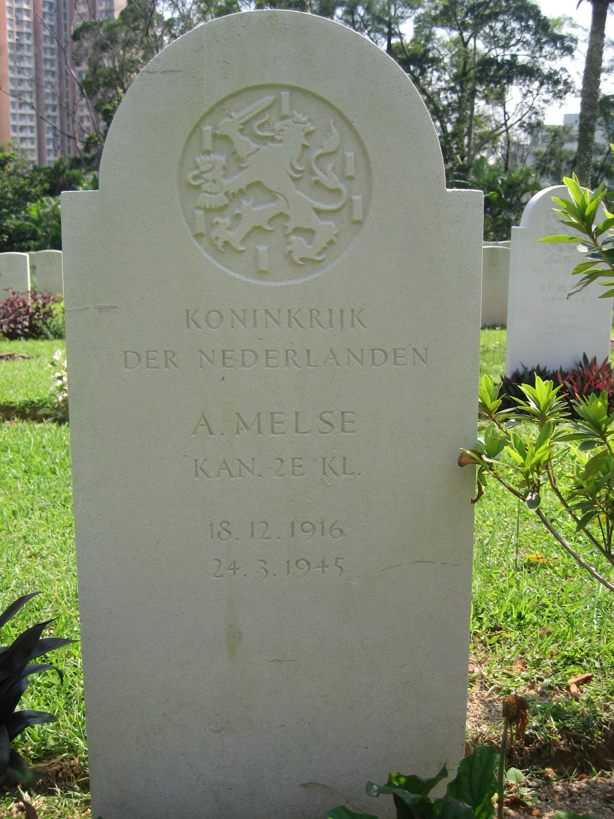 melse.a.2008.jpg
