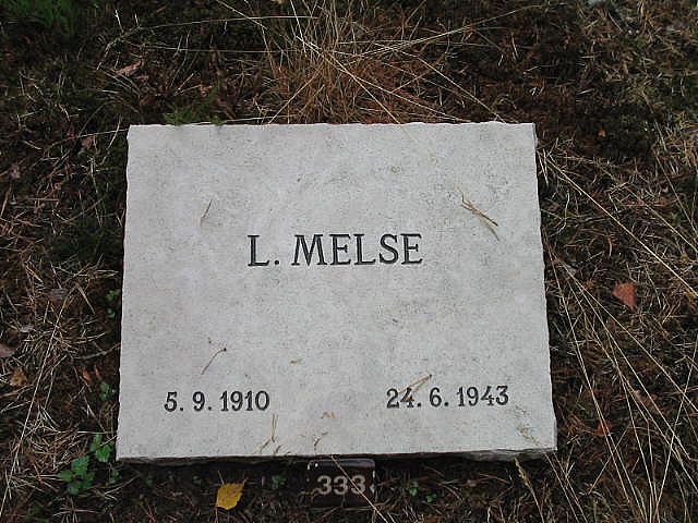 101575.jpg