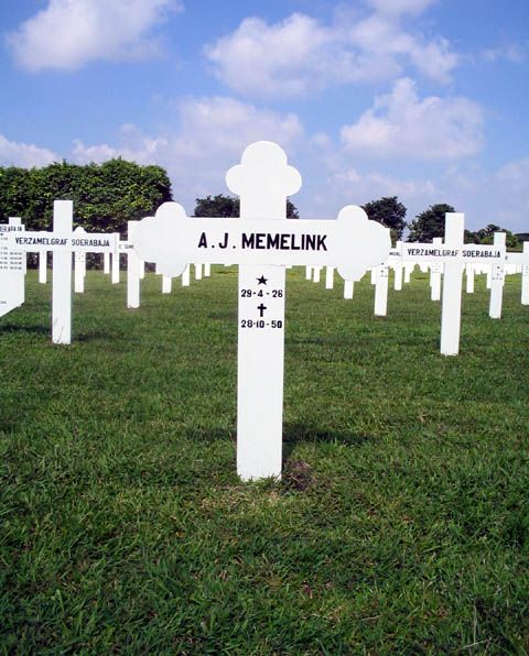 memelink.a.j.2005.jpg