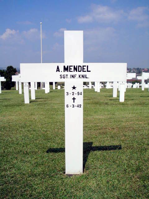 mendel.a.2004.jpg