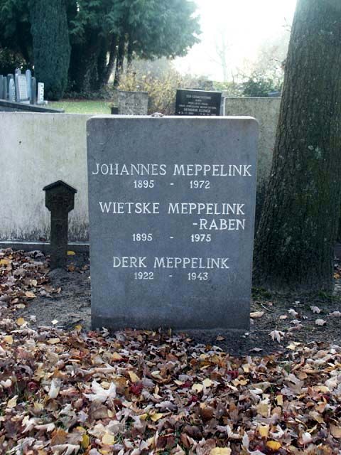 Meppelink D.jpg