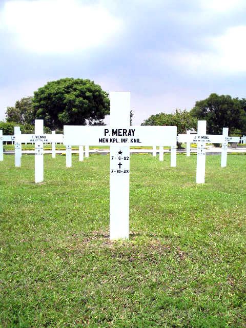 meray.p.2005.jpg