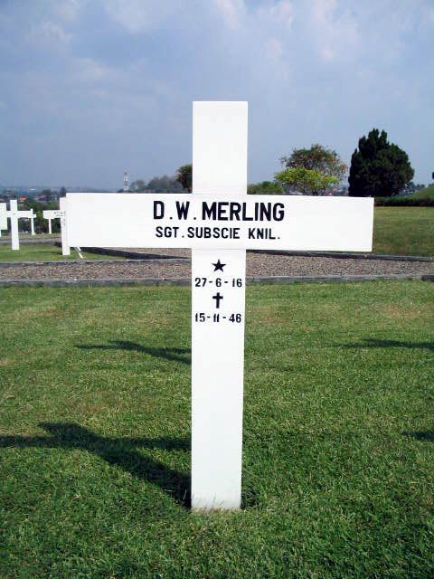 merling.d.w.2004.jpg.JPG