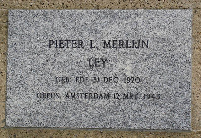 merlijn.p.l.2006.jpg