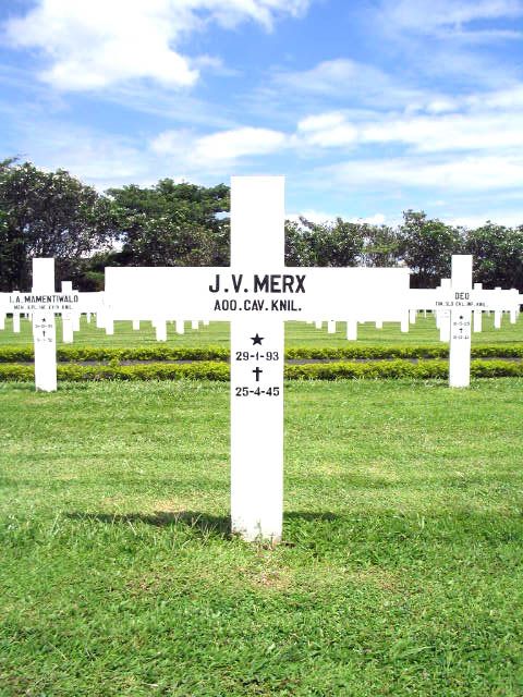 merx.j.v.2005.jpg