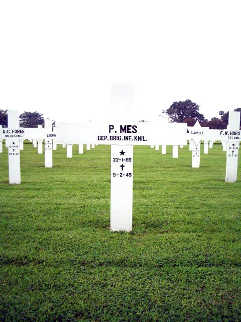 mes.p.2005.jpg