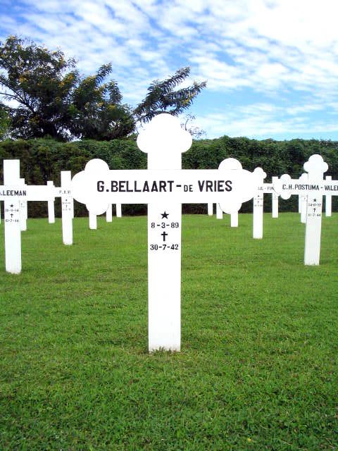 bellaart.vries.de.g.2005.jpg