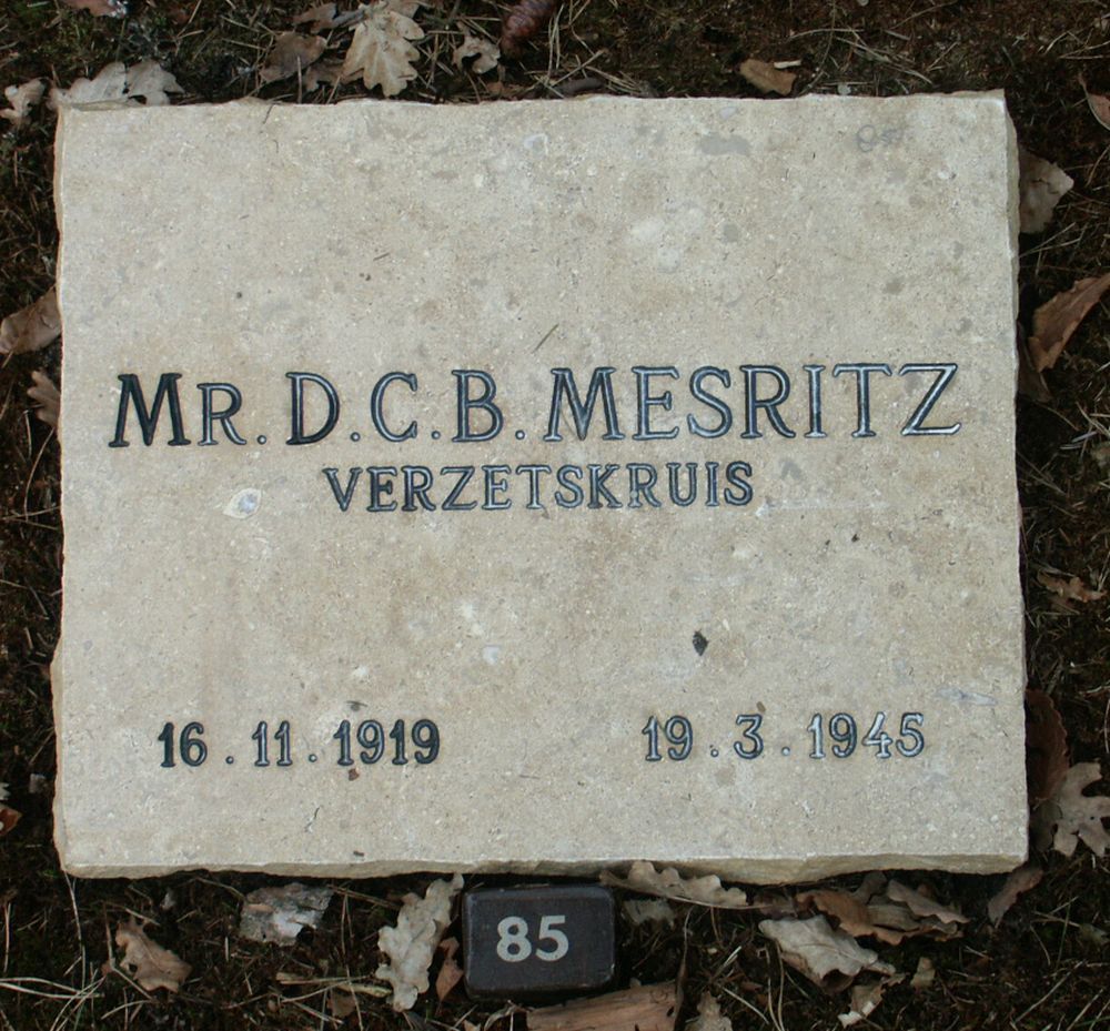 mesritz.d.c.b.2006.jpg