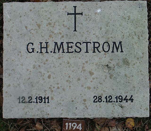 Mestrom.G.H.2005.jpg