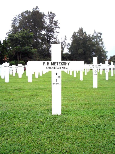 metekohy.f.h.2005.jpg