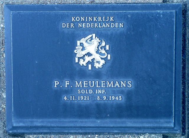 Meulemans.P.F.2008.jpg