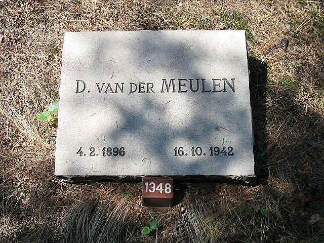D.v.der Meulen.jpg