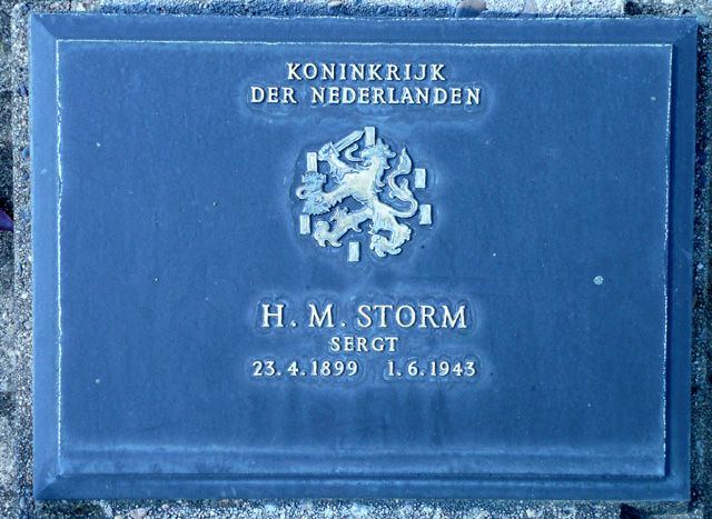 Storm.H.M.2008.jpg
