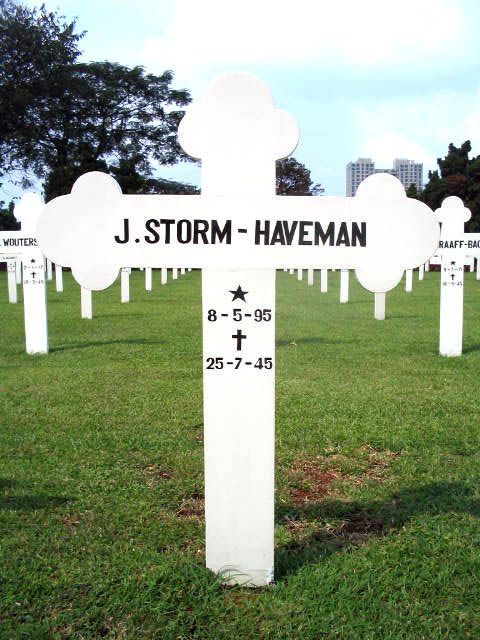 storm.haveman.j.2005.jpg