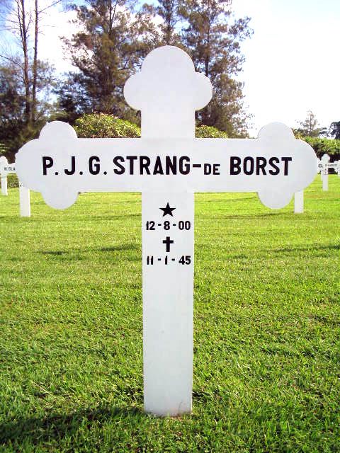 strang.de borst.p.j.g.2004.jpg